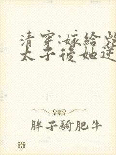 清穿:嫁给炮灰太子后她逆袭了