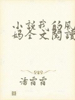 小说我的风流妈妈全文阅读