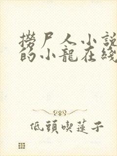 捞尸人小说纯洁的小龙在线阅读免费