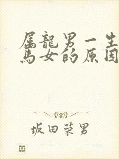 属龙男一生最爱马女的原因