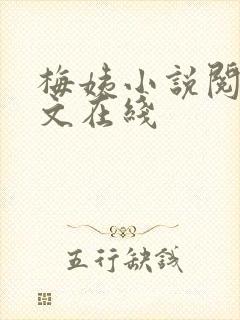 梅姨小说阅读全文在线