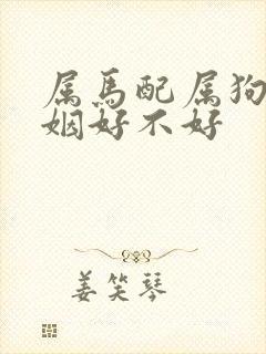 属马配属狗的婚姻好不好