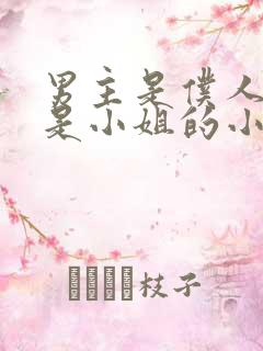 男主是仆人女主是小姐的小说