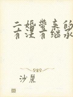 二婚带来的孩子有没有继承权