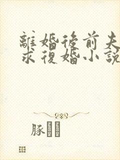 离婚后前夫哭着求复婚小说全集完整版