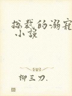 总裁的溺宠甜妻 小说