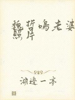 魏哲鸣老婆王岚照片