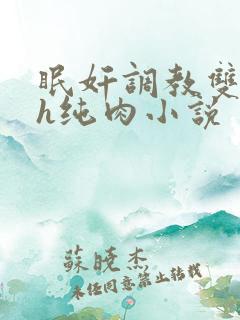 眠奸调教双性高h纯肉小说