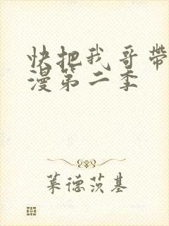 快把我哥带走动漫第二季