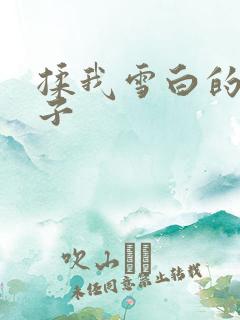 揉我雪白的大奶子