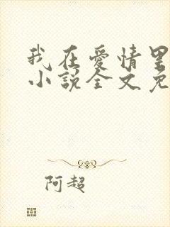 我在爱情里等你小说全文免费阅读