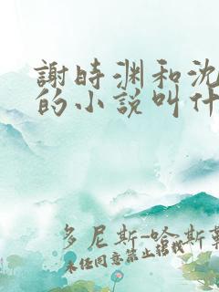 谢时渊和沈婉婷的小说叫什么名字