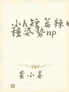 小h短篇辣肉各种姿势np