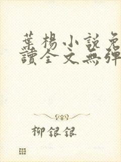 叶杨小说免费阅读全文无弹窗