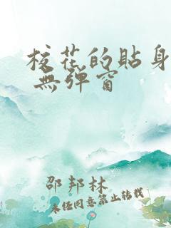 校花的贴身高手 无弹窗