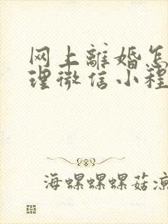 网上离婚怎么办理微信小程序