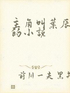 主角叫叶辰都市的小说