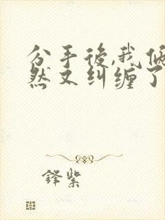 分手后,我俩居然又纠缠了小说