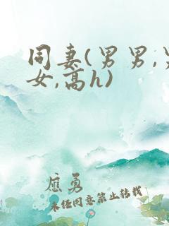 同妻(男男,男女,高h)