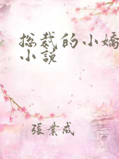 总裁的小娇妻 小说