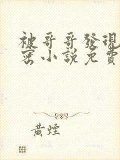 被哥哥发现的秘密小说免费阅读全文