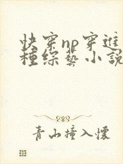 快穿np穿进各种综艺小说免费阅读