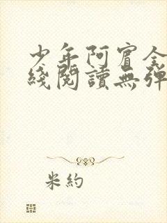 少年阿宾全文在线阅读无弹窗