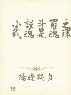 小说斗罗之我的武魂是魂环