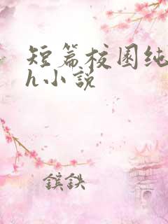 短篇校园纯肉高h小说