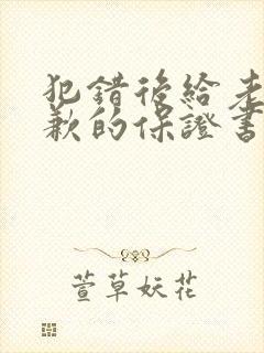 犯错后给老婆道歉的保证书