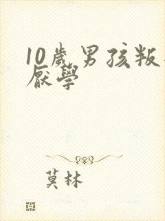 10岁男孩叛逆厌学