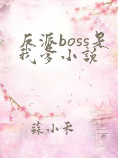 反派boss是我爹小说