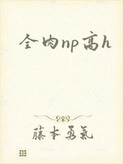 全肉np高h