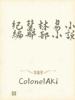 纪慧林易小说改编哪部小说