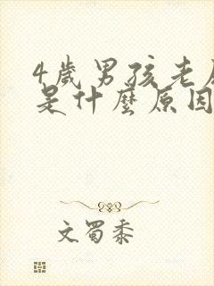 4岁男孩老尿床是什么原因