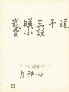 武映三千道 免费小说