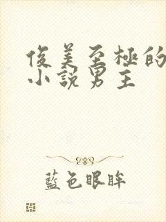 俊美至极的玄幻小说男主