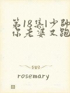 第18集|少帅你老婆又跑了