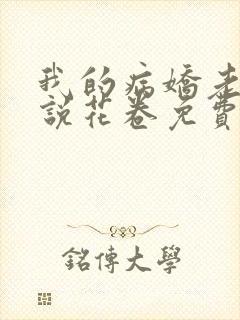 我的病娇老婆小说花卷免费阅读