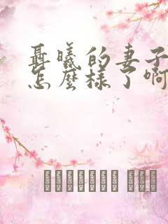 聂曦的妻子最后怎么样了啊