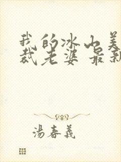 我的冰山美女总裁老婆 最新章节 无弹窗