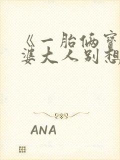 《一胎俩宝:老婆大人别想逃》