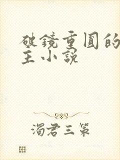 破镜重圆的双男主小说