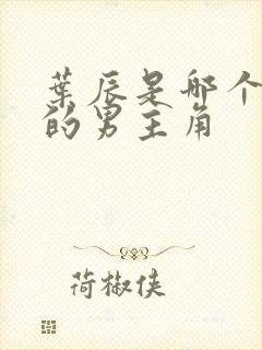 叶辰是哪个小说的男主角