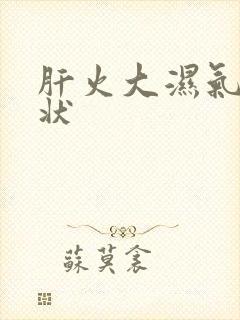 肝火大湿气重症状