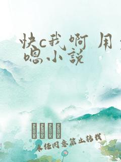 快c我啊 用力 嗯小说