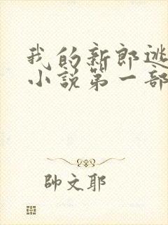 我的新郎逃婚了小说第一部