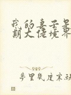 我的妻子是大乘期大佬境界等级