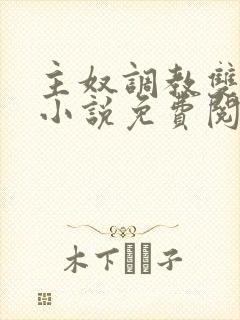 主奴调教双男主小说免费阅读