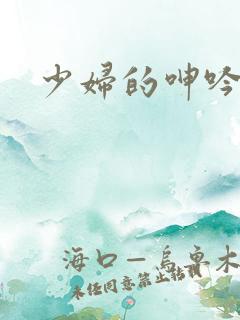 少妇的呻吟小说